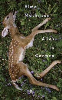 Alles is Carmen - Boek Alma Mathijsen (9023465199)