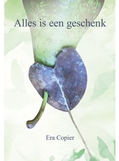 Alles is een geschenk - (ISBN:9789463653848)