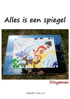 Alles is een spiegel - Boek Dingeman de Visser (9402129987)