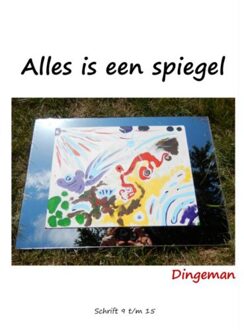 Alles is een spiegel - Boek Dingeman de Visser (9402129987)