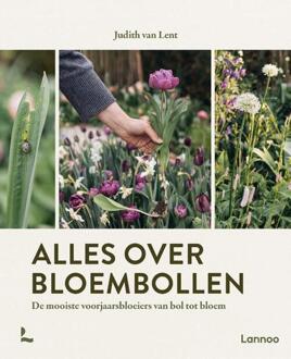 Alles over bloembollen -  Judith van Lent (ISBN: 9789020965117)