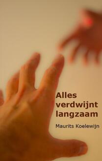 Alles verdwijnt langzaam - Boek Maurits Koelewijn (9081994603)