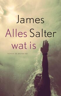 Alles wat is - eBook James Salter (9023477529)