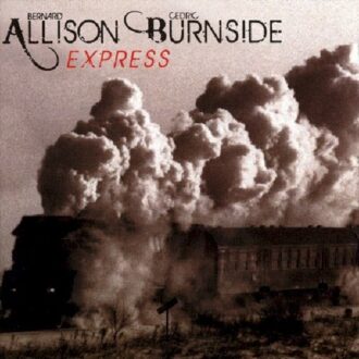 Allison Burnside Express - Allison Burnside Express