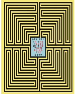 Allison Katz. In The House Of The Trembling Eye