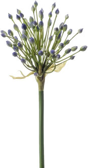 Allium/Sierui kunstbloem - losse steel - blauw - 70 cm - Natuurlijke uitstraling - Kunstbloemen