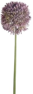 Allium/Sierui kunstbloem - losse steel - lila paars - 65 cm - Natuurlijke uitstraling - Kunstbloemen