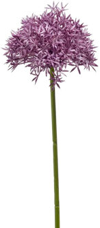 Allium/Sierui kunstbloem - losse steel - paars - 62 cm - Natuurlijke uitstraling - Kunstbloemen