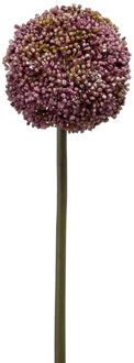 Allium/Sierui kunstbloem - losse steel - paars - 75 cm - Natuurlijke uitstraling - Kunstbloemen