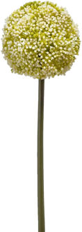 Allium/Sierui kunstbloem - losse steel - wit/groen - 75 cm - Natuurlijke uitstraling - Kunstbloemen