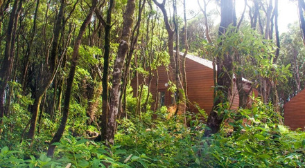 Alma do Pico - Nature Residence