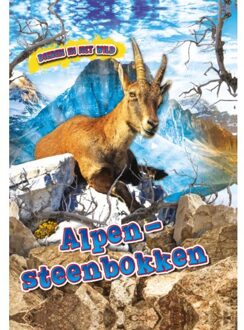 Alpen Steenbokken - Dieren In Het Wild - Kaitlyn Duling