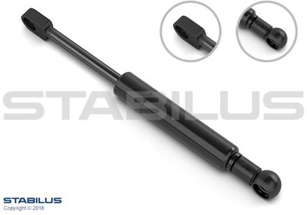 Alpina Gasveer, dak 9844NT