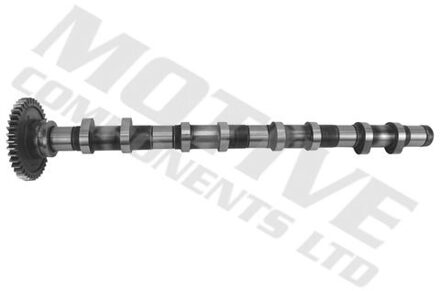 Alpina Nokkenas T4342