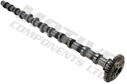 Alpina Nokkenas T4343