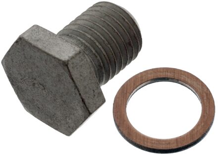 Alpina Olie-aftapplug met afdichtring 100551