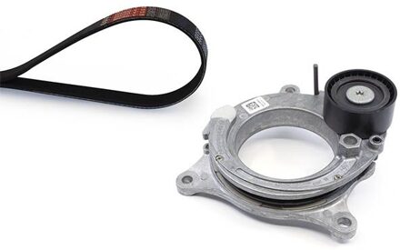 Alpina Poly V-riem set K276PK1153