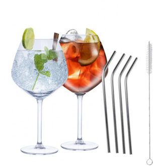 Alpina Set van 4x Gin Tonic cocktailglazen met 4x rietjes RVS