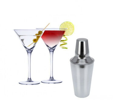 Alpina Set van 4x Martini cocktailglazen met cocktailshaker RVS