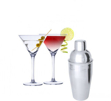 Alpina Set van 4x Martini cocktailglazen met cocktailshaker semi-mat RVS