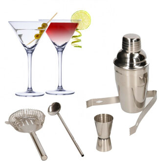 Alpina Set van 4x Martini cocktailglazen met complete 5-delige cocktailshaker set RVS