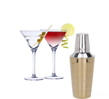 Alpina Set van 4x Martini cocktailglazen met goud gestreepte cocktailshaker RVS