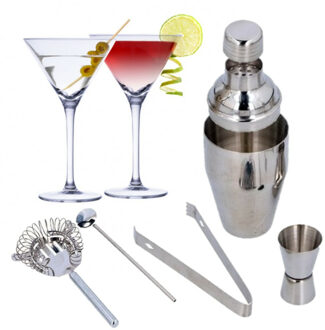 Alpina Set van 4x Martini cocktailglazen met luxe 5-delige cocktailshaker set RVS