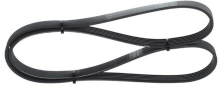 Alpine Multiriem 5PK1330