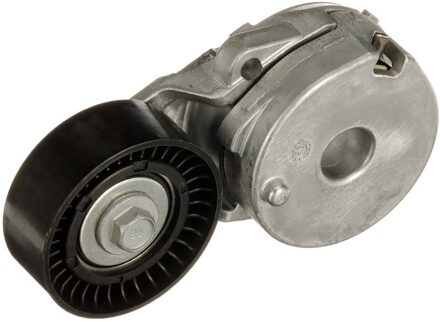 Alpine Riemspanner, Poly V-riem T39644