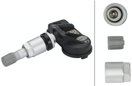 Alpine TPMS Sensor 6PP358139331