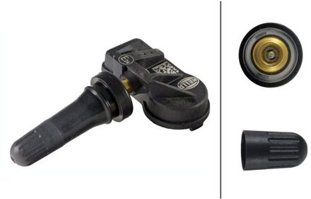 Alpine TPMS Sensor 6PP358139461