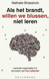 Als het brandt, willen we blussen, niet leren - Nathalie Briessinck (ISBN: 9789465301617)