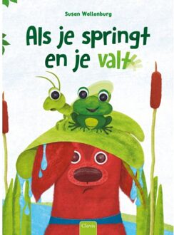 Als Je Springt En Je Valt - Susan Wallenburg