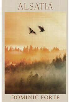 Alsatia - Dominic Forte