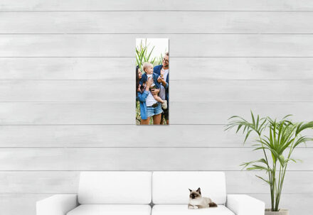 Alu Poster 30 x 80 cm