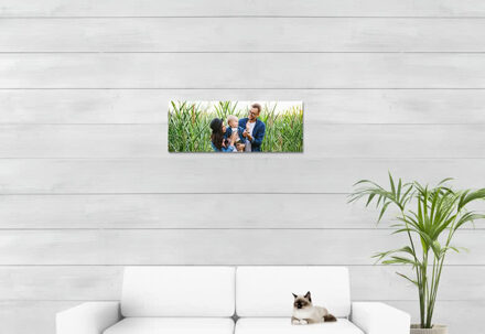 Alu Poster 80 x 30 cm