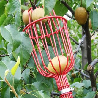 Aluminium Diepe Mand Fruit Picker Handig Horticultural Fruit Picker Tuinieren Perzik Picking Gereedschap