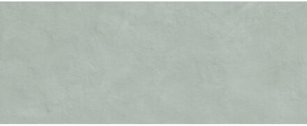 Alure wandtegel - 30x75cm - gerectificeerd - Sage mat (groen) SW07314826-5
