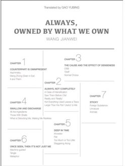 Always, Owned By What We Own - China Culture Perspectives - Wang Jianwei