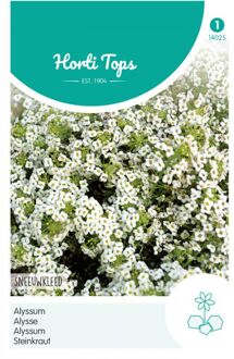 Alyssum Bloemzaad - Sneeuwkleed