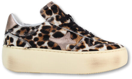 Ama-Brand 2533 Veelkleurig - 36