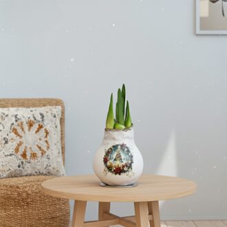 Amaryllis Bol - Rode Bloem - Witte Wax met Kerstboom