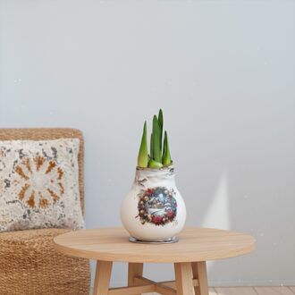 Amaryllis Bol - Rode Bloem - Witte Wax met Winterhuisje