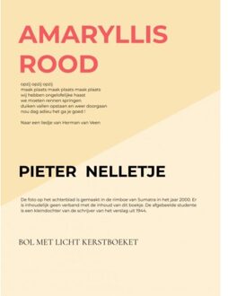 Amaryllis Rood - Pieter Nelletje