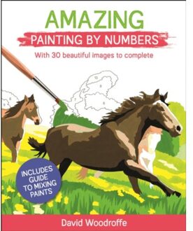 Amazing Painting By Numbers - Arcturus Painting By Numbers - David Woodroffe