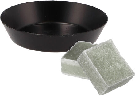 Amberblokjes/geurblokjes cadeauset - eucalyptus geur - inclusief schaaltje