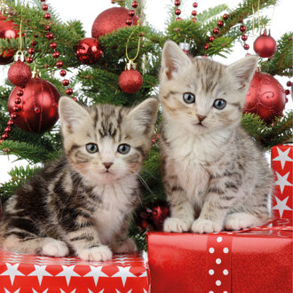 Ambiente 20x Kerst thema servetten met 2 kittens katten/poezen 33 x 33 cm
