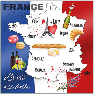 Ambiente 20x Tafel diner/lunch servetten 33 x 33 cm Frankrijk landen vlag thema print Multi