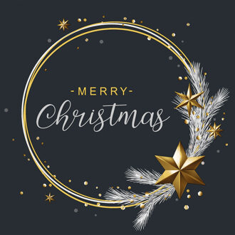 Ambiente Kerst thema servetten - 40x st -? zwart Merry Christmas - 33 x 33 cm - kerstdiner - kerstservetten