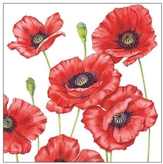 Ambiente Klaprozen/poppy bloemen - 60x stuks - 33 x 33 cm - 3-laags - Feestservetten Multikleur